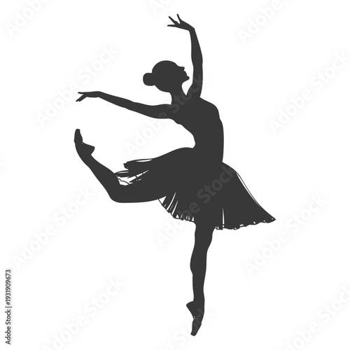 Silhouette of a ballerina in mid-pose with her leg extended