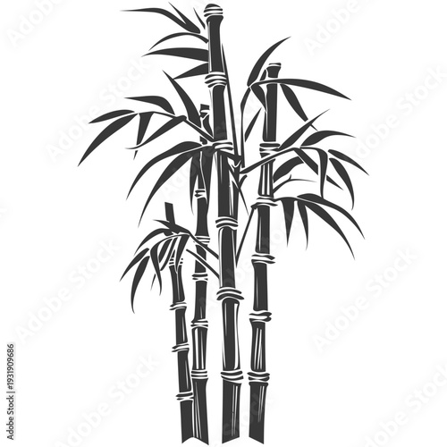 Silhouette of a group of bamboo stalks with leaves