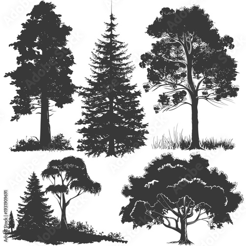 Silhouette Illustrations of Various Trees