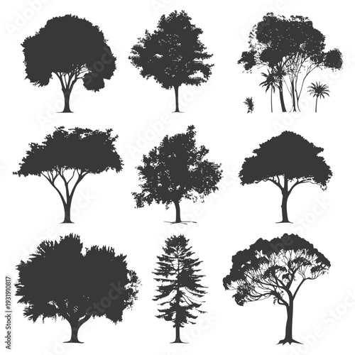 Silhouettes of Nine Different Tree Species