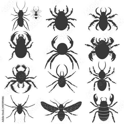 Silhouettes of Various Arachnids and Insects