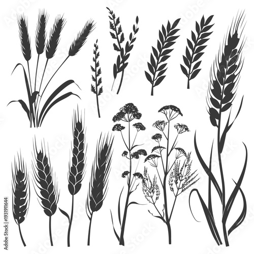 Silhouettes of Wheat, Grass, and Flowers