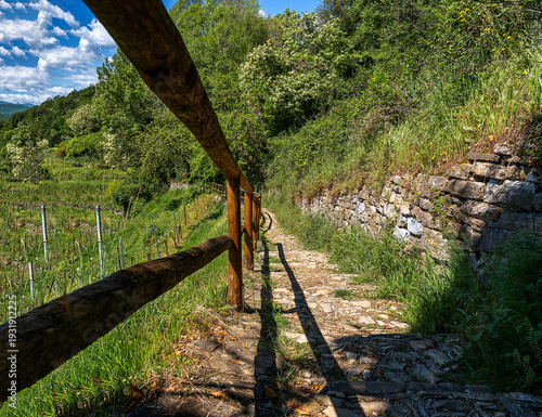 the wooden railing, a stone path, the low stone wall, the sharp shadows draw a series of parallel lines converging towards the bottom, immersed in a sun-drenched rural landscape