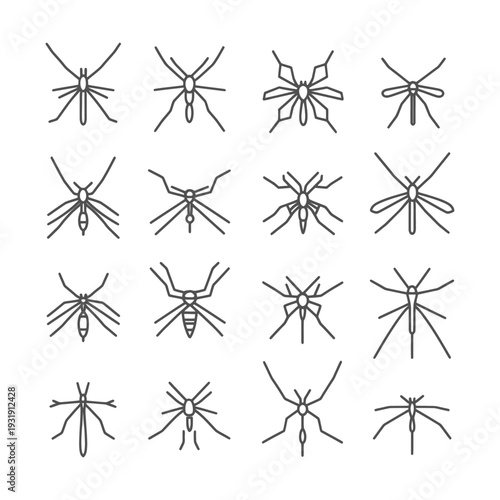 Sixteen Different Outline Styles of Mosquito Illustrations