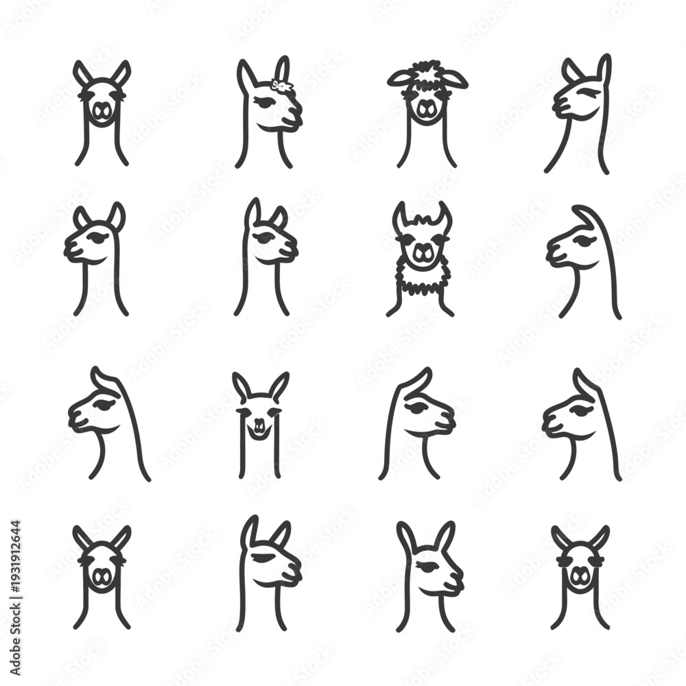 Fototapeta premium Sixteen Outline Drawings of Llama Heads in Different Poses