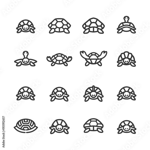 Sixteen Outline Drawings of Turtles and Tortoises