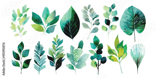 Fotografía Collection of watercolor green leaves and branches in various shapes and shades