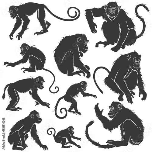 Ten Detailed Black Silhouettes of Monkeys in Various Poses