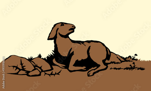 Vector drawing. The sheep got lost in the field