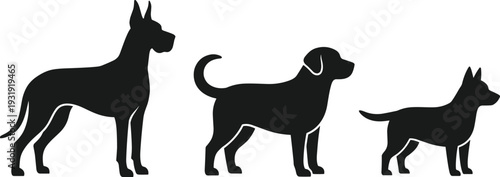 Dog Silhouette Set Different Breeds Black and White Vector Illustration Domestic Animals Collection Isolated on White Background