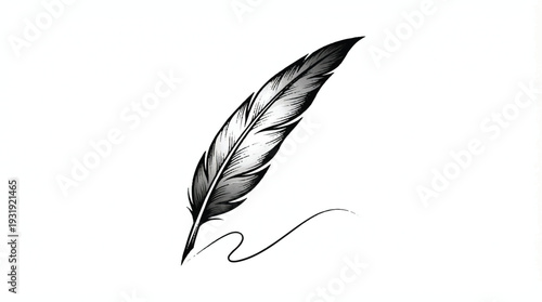 A set of black quill pen sketches and vector bird feather illustrations featuring ink calligraphy elements and nature-inspired wing plume silhouettes isolated on a white background for writing design