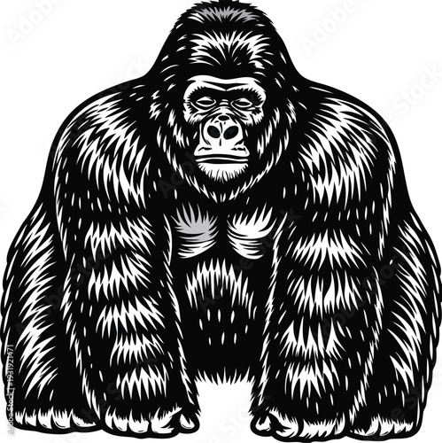 Vector gorilla illustration in black and white
