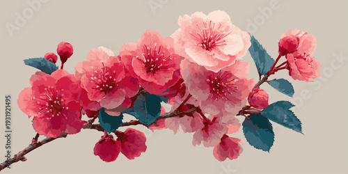 A vibrant display of pink cherry blossoms in full bloom against a soft gradient background