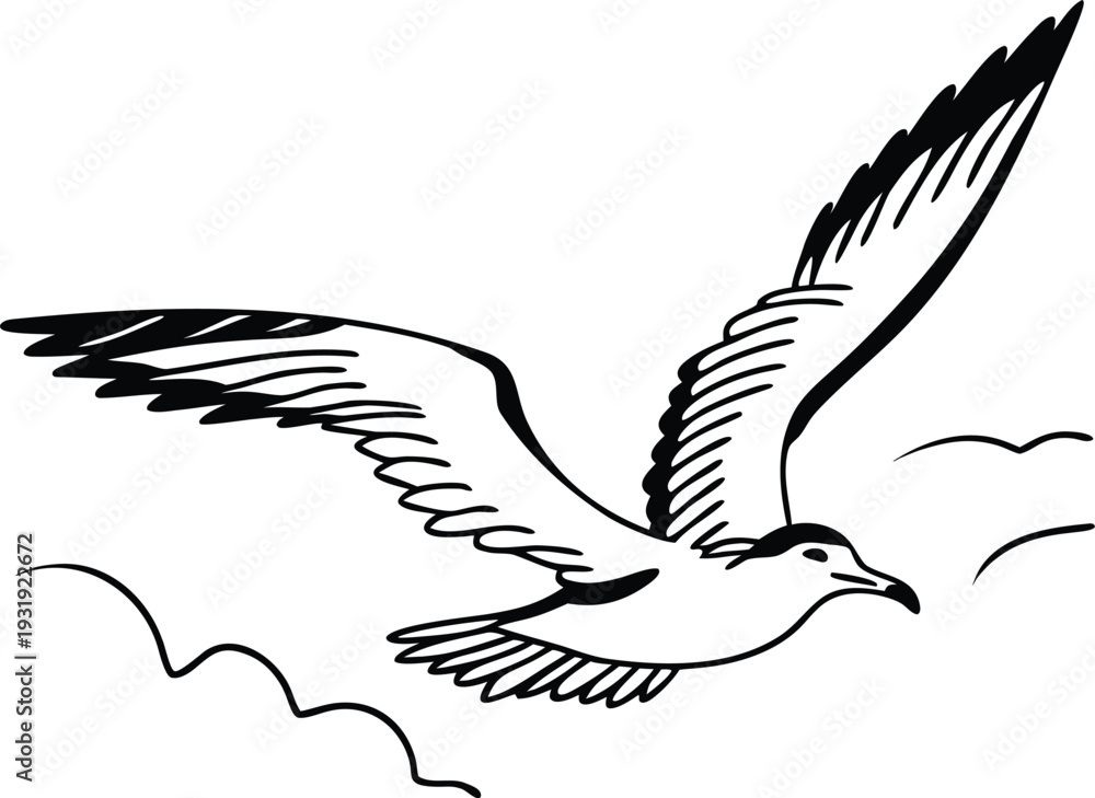 Obraz premium Vector flying seagull illustration