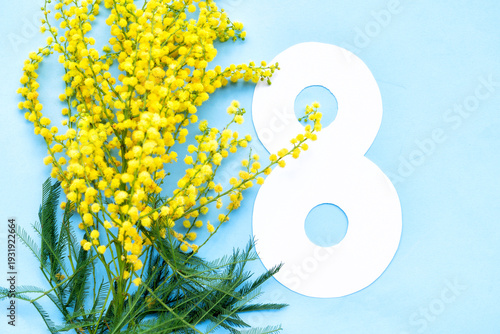 Mimosa yellow flowers on tender blue spring background, 8 march day festive b...