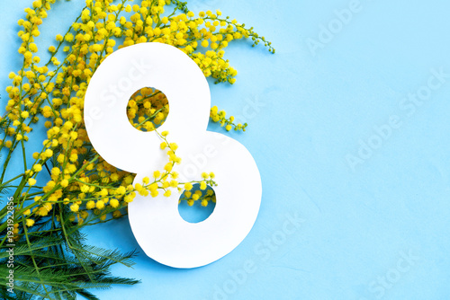 Mimosa flowers on blue spring background, 8 march day festive background, mim...