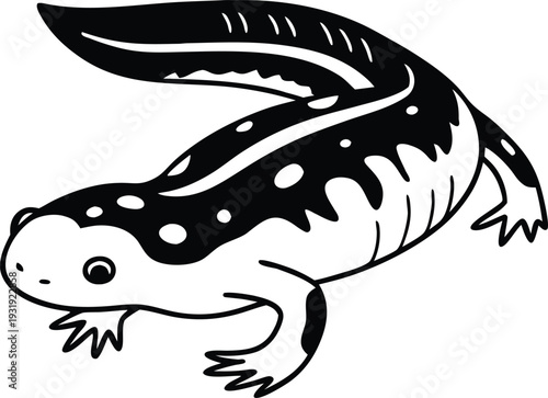 Vector axolotl illustration