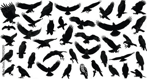 Raptor and owl silhouettes vector collection, eagles hawks ravens and nocturnal birds in flight and perched poses, black wildlife illustration set