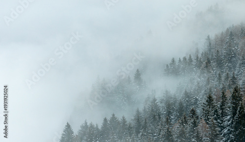 Aerial View of Winter Mount...
