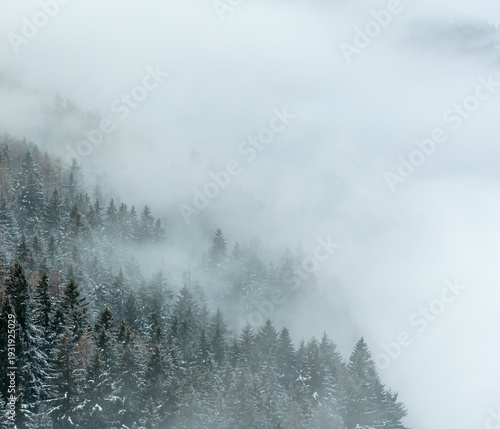 Aerial View of Winter Mount...