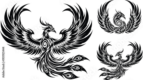 Tribal phoenix bird vector collection, ornate mythical firebird with spread wings and swirling feather details, black tattoo fantasy emblem set