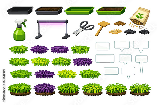 Tools and plants set for gardening and plant growth activities in an indoor setup during the daytime