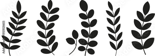 Minimalist black leaf branch silhouettes collection, modern botanical floral elements isolated on white background, Scandinavian style foliage illustration set for logo, branding and wall art