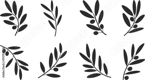 Minimalist black olive branch silhouettes set, botanical leaf and berry illustrations isolated on white background, modern Scandinavian style clipart elements for logo, branding and decor