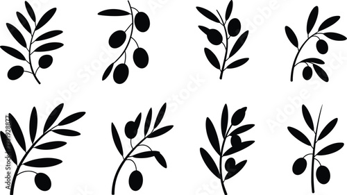 Minimalist black olive branch silhouettes collection, botanical leaf and olive fruit illustrations isolated on white background, modern Scandinavian style clipart elements for logo, branding and decor