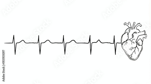 Human Anatomical Heart with EKG Heartbeat Pulse Line Drawing