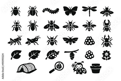 Collection of various insect and plant silhouettes including beetles, butterflies, and leaves in black on a white background