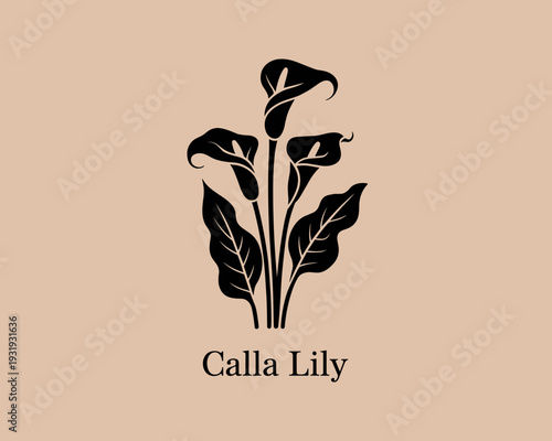 Calla Lily Black Silhouette Botanical Illustration – Elegant Floral Line Art