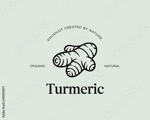 Turmeric Organic Product Logo – Natural Herbal Botanical Line Art Illustration