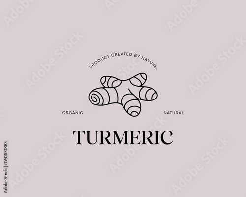 Turmeric Organic Product Logo – Natural Herbal Botanical Line Art Illustration