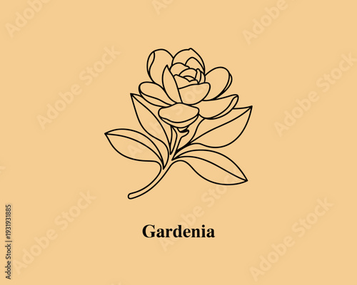 Gardenia Flower Minimal Line Art – Elegant Botanical Floral Illustration