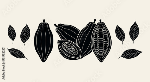Cacao Pods Black Silhouette Illustration – Vintage Botanical Cocoa Engraving
