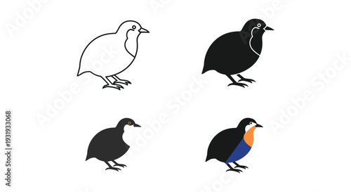 Four stylized bird illustrations showcasing different color variations and postures.