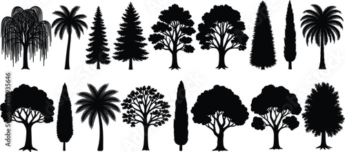 Tree Silhouette Collection with Palm Pine Cypress and Deciduous Forest Shapes Black Nature Vector Set