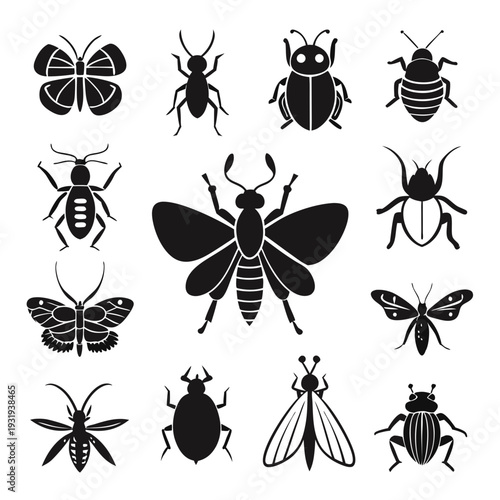 Variety of insect silhouettes in a simple flat design