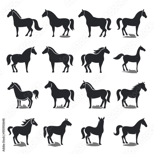 Various horse silhouettes standing on white background vector image