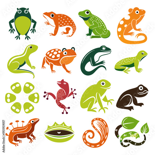 Colorful graphic illustration of various cartoon amphibian and reptile