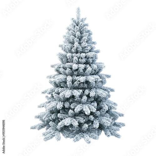 Frosted snowy evergreen Christmas tree isolated