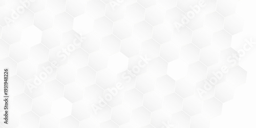 Abstract modern hexagon background. White and grey honey geometric texture. Vector art illustration