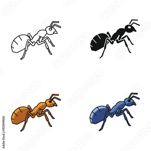 Illustrations of four different types of ants with distinct physical characteristics.