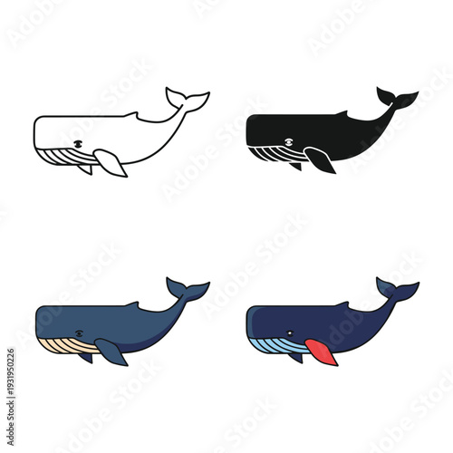 Illustrations of four different types of whales with distinct visual characteristics