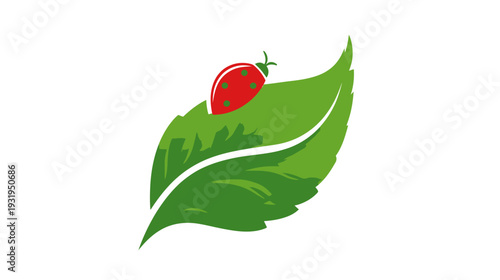 A cartoon ladybug with polka dots perched on a large green leaf. Vector style on a white background