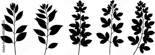 Collection of black silhouette plant stems with varying leaf shapes and arrangements a white background