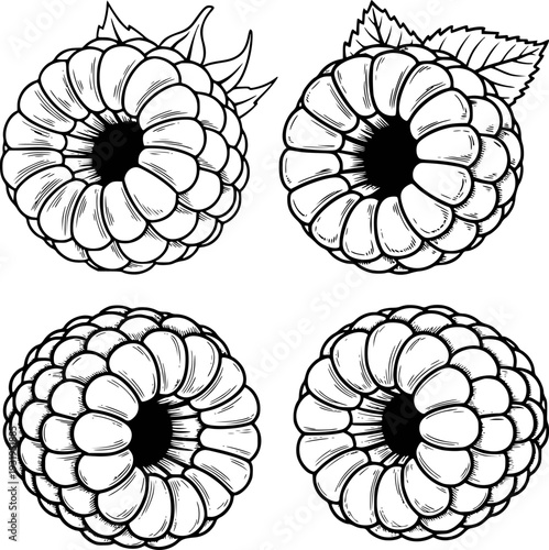 Detailed black and white line of ripe raspberries with leaves a white background
