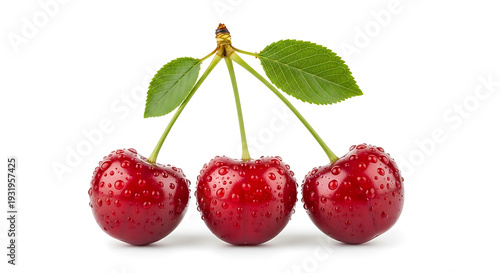 Wallpaper Mural Three ripe red cherries with water droplets and green leaves on white background fresh cherries Torontodigital.ca