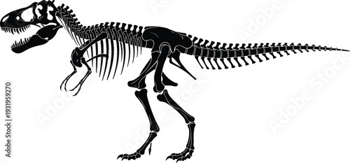 Tyrannosaurus rex skeleton silhouette, dinosaur fossil bone structure vector illustration isolated on white background for education design